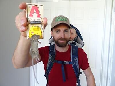 Charleston pest control